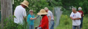 Community Empowerment